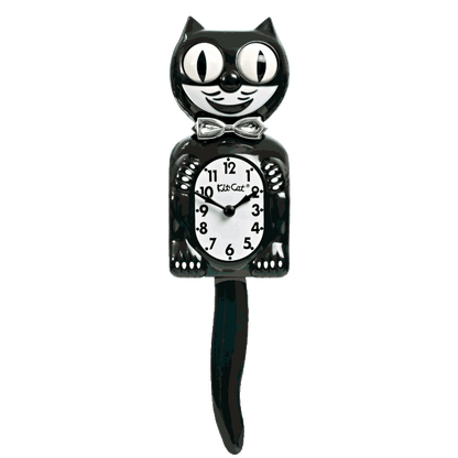 Black Friday Special