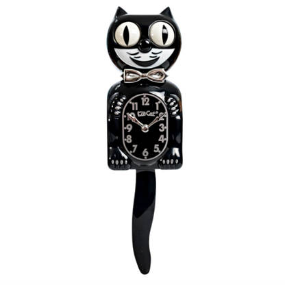 Black Friday Special