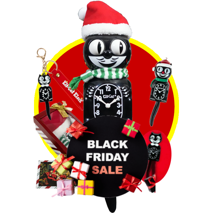 Black Friday Special