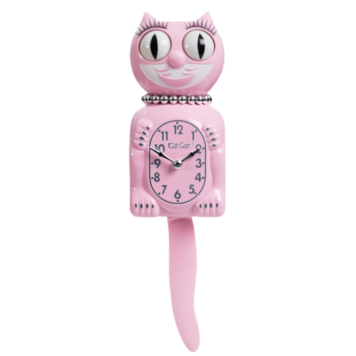 Black Friday Special