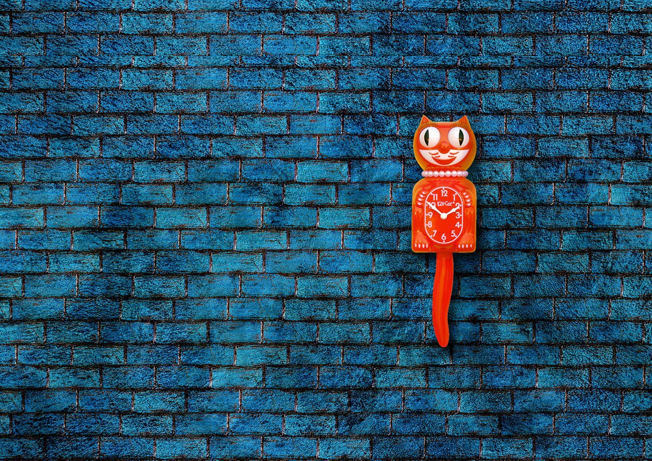 orange cat blue bricks
